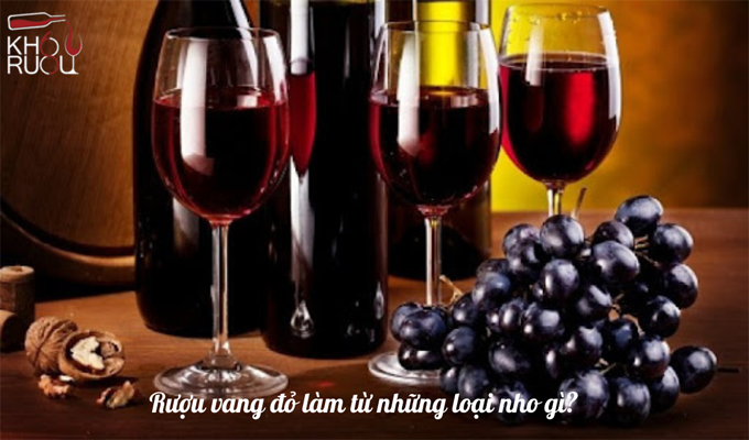 Rượu vang đỏ làm từ những loại nho gì?