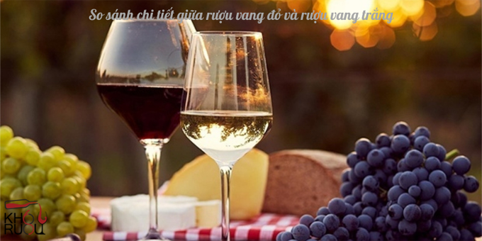 So sánh chi tiết giữa rượu vang đỏ và rượu vang trắng