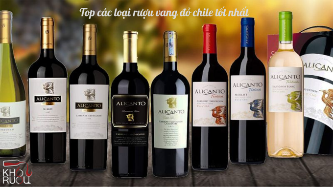 Top các loại rượu vang đỏ chile tốt nhất