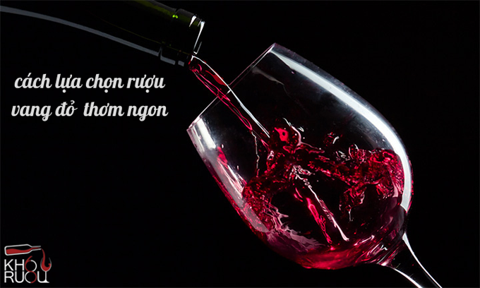Hướng dẫn cách lựa chọn rượu vang đỏ thơm ngon
