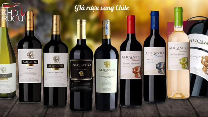 Cập Nhật Giá Rượu Vang Chile Tại Việt Nam Mới Nhất