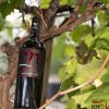 pandora '71 primitivo. pandora '71 primitivo