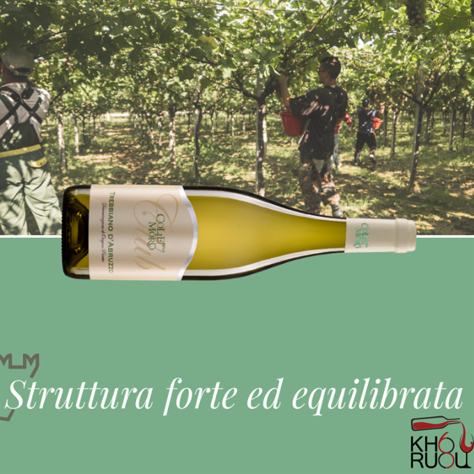 Rượu Vang Ý CLUB TREBBIANO Rượu Vang Ý CLUB TREBBIANO