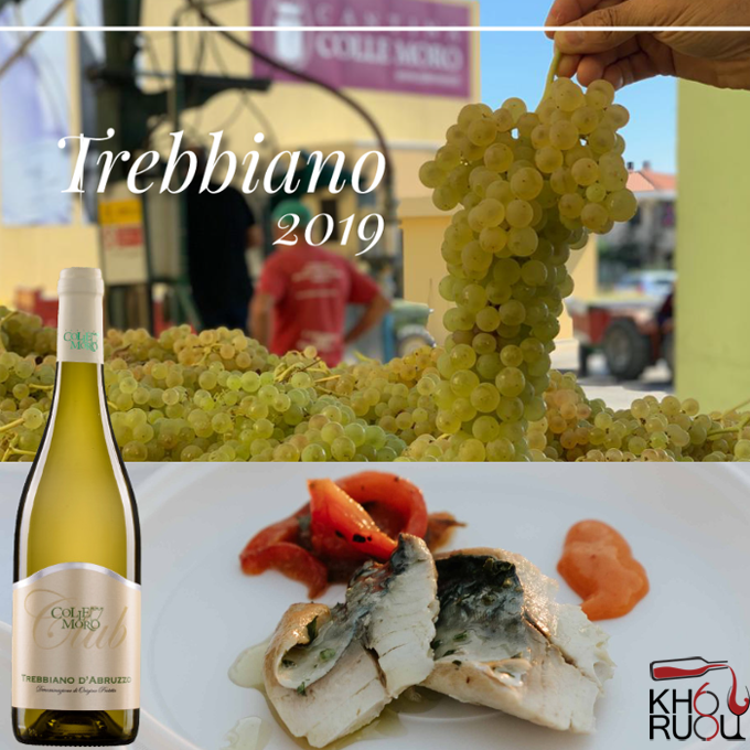 Rượu Vang Ý CLUB TREBBIANO Rượu Vang Ý CLUB TREBBIANO