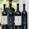 Rượu vang Ý Laus Vitae Montepulciano