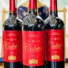 Colette Merlot