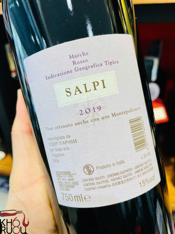 SALPI MARCHE ROSSO