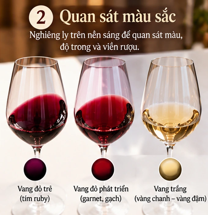 Quan sát màu sắc của rượu