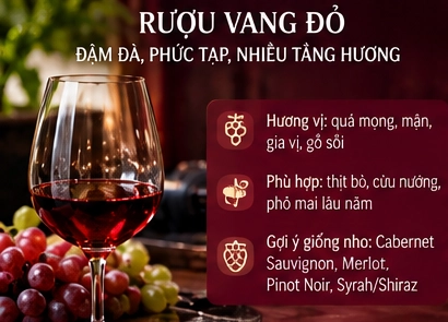 Rượu Vang Đỏ