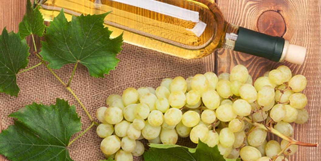 Giống nho Viognier