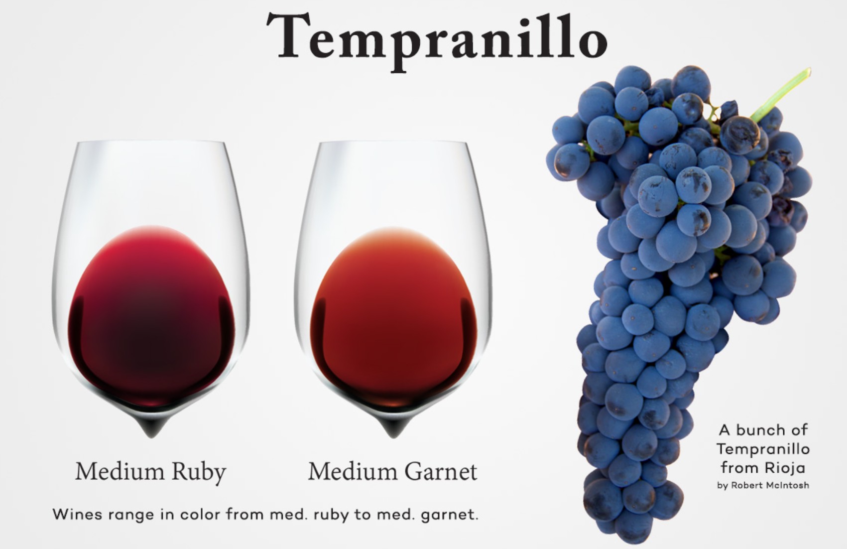 nho Tempranillo