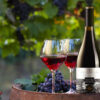 Rượu Vang Ý Viento Norte Reserva Cabernet Sauvignon Syrah