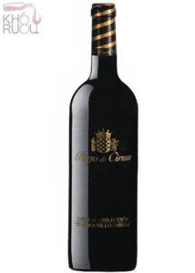 Rượu vang Tây Ban Nha Pago de Cirsus Opus 11