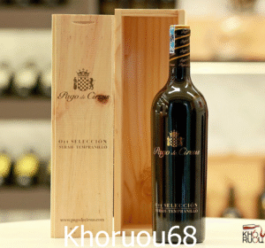 Rượu vang Tây Ban Nha Pago de Cirsus Opus 11