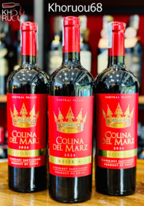 Rượu Vang Chile Colina Del Marz Reserva