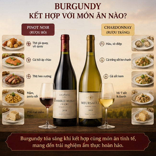 Burgundy Kết Hợp Với Món Ăn 