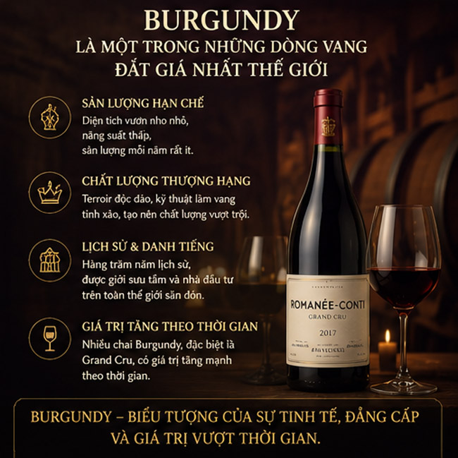 Burgundy Một Trong Những Dòng Vang Đắt Giá Nhất Thế Giới