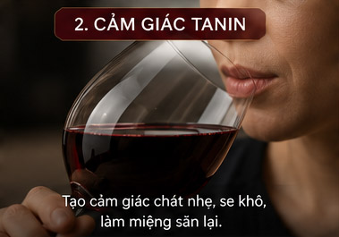 Cảm Giác Tannin 