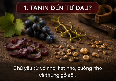 Tannin đến từ đâu