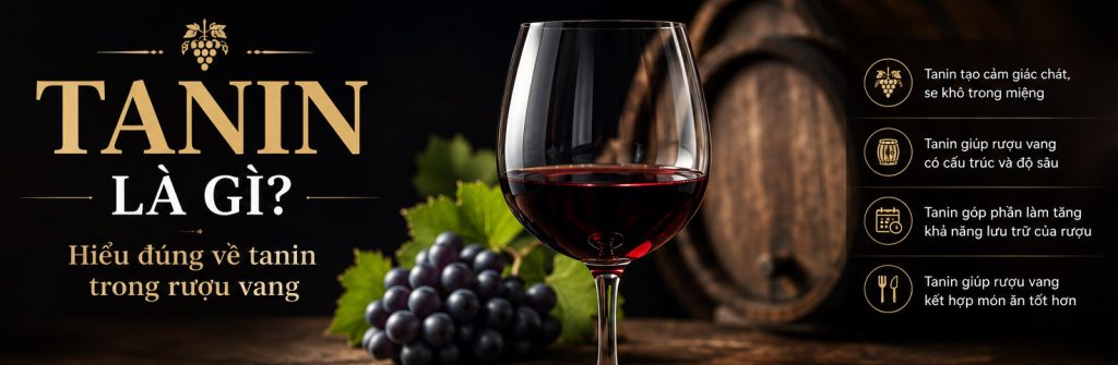 Tannin Là Gì? Hiểu Đúng Về Tannin Trong Rượu Vang Cho Người Mới
