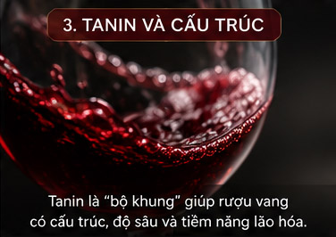 Tannin và cấu trúc