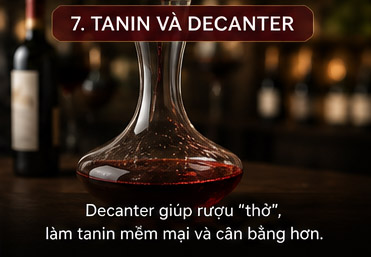 Tannin và decanter