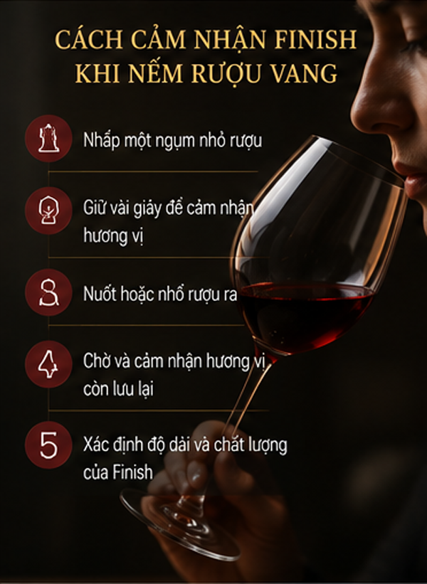 Cách cảm nhận Finish khi nếm rượu vang
