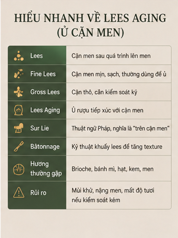 Lees Aging Là Gì? Ủ Trên Cặn Men Ảnh Hưởng Đến Hương Vị Rượu Vang Ra Sao? Hiểu Nhanh Về Lees Aging