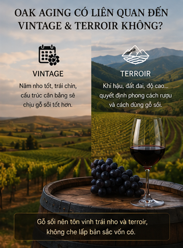 Oak Aging Là Gì? Ủ Gỗ Sồi Ảnh Hưởng Đến Hương Vị Rượu Vang Như Thế Nào? Oak Aging Liên Quan Đến Vintage Và Terroir
