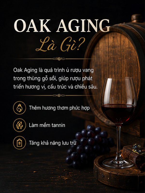 Oak Aging Là Gì? Ủ Gỗ Sồi Ảnh Hưởng Đến Hương Vị Rượu Vang Như Thế Nào?