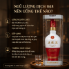 Cách Uống Rượu Ngũ Lương Dịch 1618