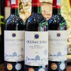 Rượu Vang Château Jussas Blaye Côtes de Bordeaux