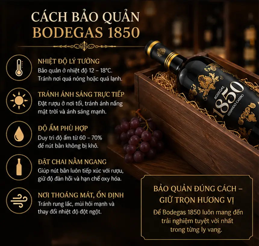 cách bảo quản Rượu Vang 0 Độ Bodegas 1850 Fernando Castro